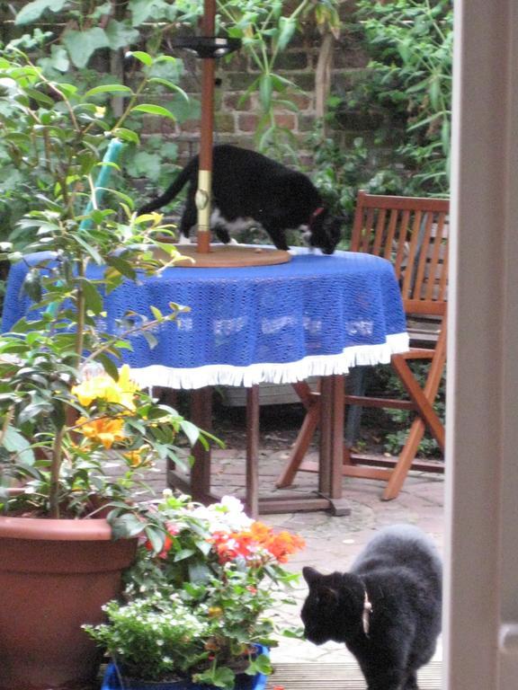 Holmewood Homestay London Værelse billede