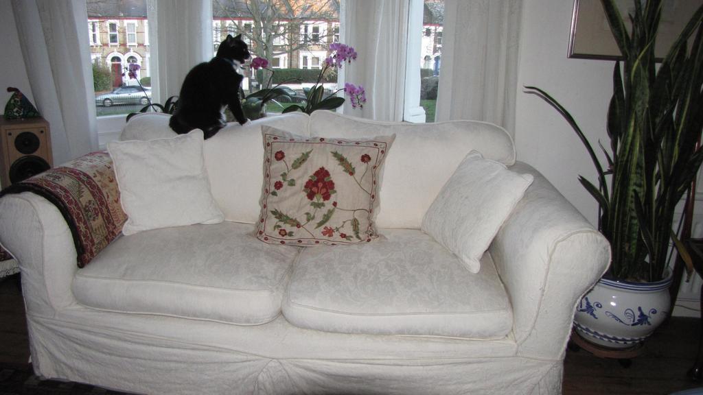 Holmewood Homestay London Eksteriør billede